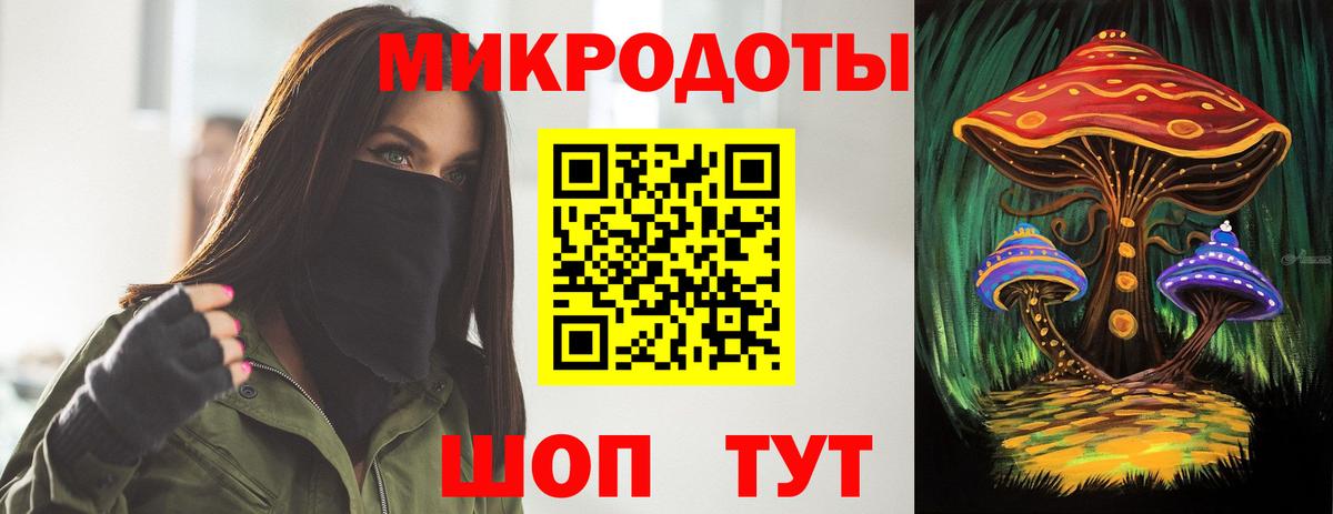 Псилоцибиновые грибы Cubensis Сергиев Посад